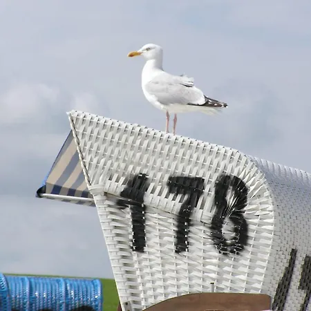 아파트 In 지로우